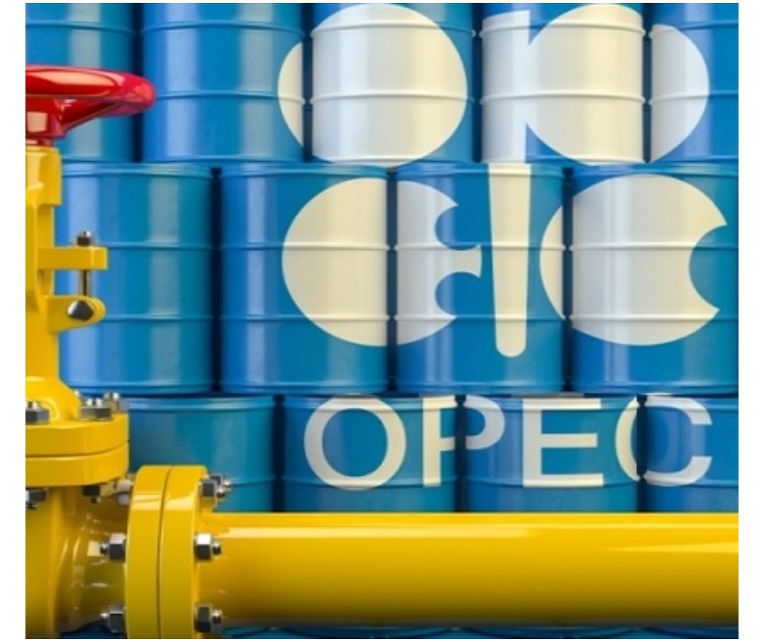 Screenshot_20230605-125234