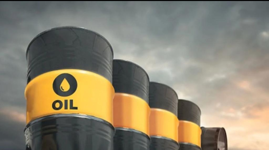 Screenshot_20240522-161836