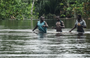Three Dead, 1,415 Homes Hit By Adamawa Floods — NEMA