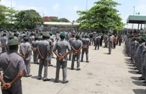 Customs Launches Digital Platform to Curb Vehicle Smuggling