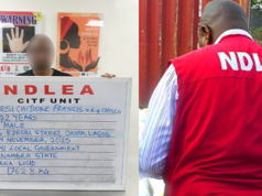 NDLEA Arrests Wanted Suspect, Recovers Large Drug Shipment, Forex In Lagos