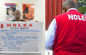 NDLEA Arrests Wanted Suspect, Recovers Large Drug Shipment, Forex In Lagos