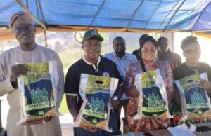 Lagos unveils biofortified rice to address micronutrient deficiency