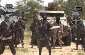 NAF Bombs Terrorists In Sambisa Forest, Kills Scores