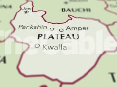 Suspected herders kill ‘four children’ in Plateau reprisal attack