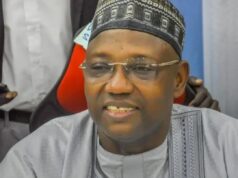 Arewa forum calls for Shinkafi’s arrest, investigation on security threat