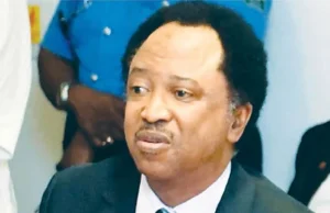 Airstrike: Shehu Sani welcomes action, cautions on foreign dependence