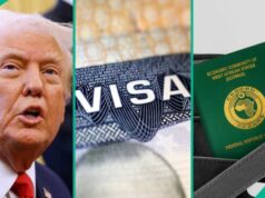 US Stops Green Card, Citizenship Applications for Nigerians
