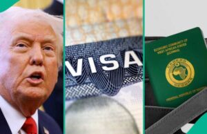 US Stops Green Card, Citizenship Applications for Nigerians
