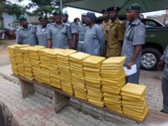 Customs seizes cannabis, tramadol worth N720 million in Katsina