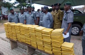 Customs seizes cannabis, tramadol worth N720 million in Katsina