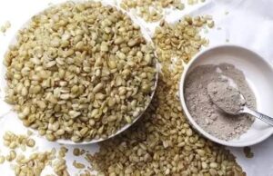 Anambra govt to spend N200 million on indigenous fruit trees seedlings in 2026