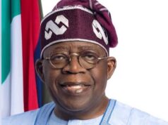 Nigeria is Doing Well Under Tinubu: Ijaw Group