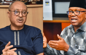 I Will Leave Peter Obi’s Corner If He Accepts To Be Someone’s VP — Pat Utomi