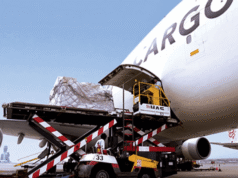 IATA: African airlines led global passenger, cargo demand growth in November 2025