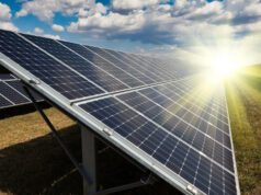 World Bank Approves $50m Solar Farming Expansion Project For Nigeria, Others
