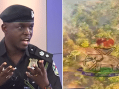 Security Operatives Rescued 309 Hostages, Killed 55 Terrorists In Kogi, Kwara — Police