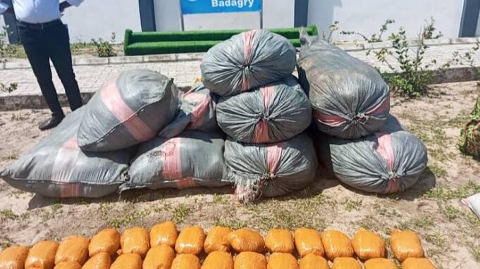 N131 Million Worth of Cannabis Seized in Ogun – Nigerian Customs
