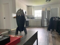 ‘Shower has one towel, no food in fridge’ — Elon Musk’s mum describes his Texas home