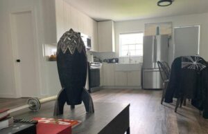 ‘Shower has one towel, no food in fridge’ — Elon Musk’s mum describes his Texas home