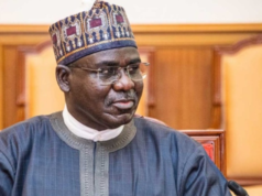 You Cannot Say I Should Be Responsible For Naming Financiers Of Terror — Buratai