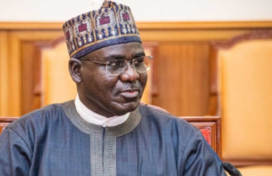 You Cannot Say I Should Be Responsible For Naming Financiers Of Terror — Buratai