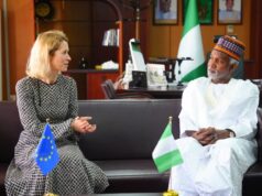 EU announces €290m investment package for Nigeria to boost digital, agricultural sectors