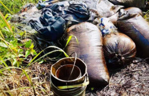 Navy Strikes Oil Theft Ring, Seizes 17,500 Litres in Niger Delta