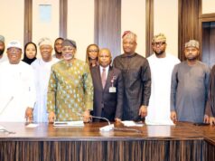 Tinubu Inaugurates Committee to Oversee Grid Asset Company Incorporation as FEC Approves Establishment