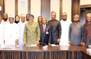 Tinubu Inaugurates Committee to Oversee Grid Asset Company Incorporation as FEC Approves Establishment