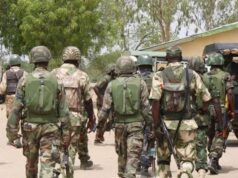 Troops Kill Over 80 Terrorists in Borno