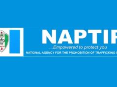 NAPTIP Rescues Six Trafficked Children, Nabs Seven Suspects in Niger