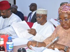 NPA proposes N1.49trn revenue target in 2026 budget