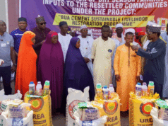 BUA Cement Supports 1,500 Resettled Farmers With Inputs, Tools, Training