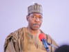Gov. Zulum Approves Recruitment of 473 Medical Personnel