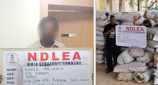 NDLEA Uncovers Cocaine In Palm Kernel Oil Cans Bound For UK
