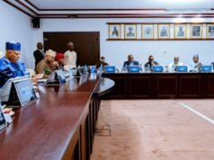 Shettima to privatisation council: Execute more PPP deals to support $1trn economy target