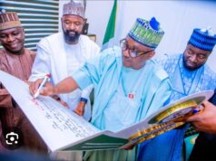 APC primaries: Wase, Gagdi secure tickets, Plaza gets consensus nod
