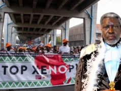 Xenophobia: Africans Cannot Be Running From Africa, We Must Lend Our Voices – Kanayo O. Kanayo