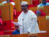 Opeyemi Bamidele proposes single six-year tenure for president, governors