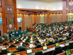 House Of Representatives Pass Bill On State Police